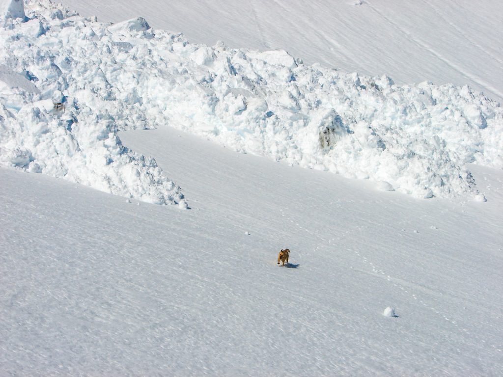 avalancha-aludes-pirineo avalancha-aludes-pirineo