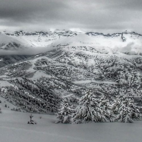 bosques nevados - esquí de travesía