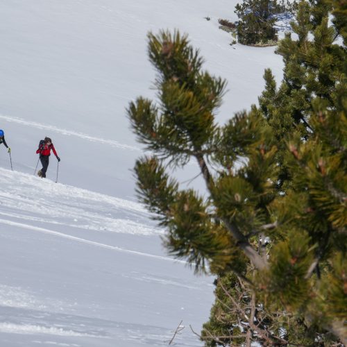 Tuqueta Blanca de Paderna - Benasque